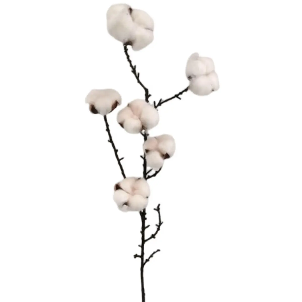 Ramo fiori di cotone h 83 cm - Maison Serì